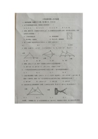 山东省齐河县马集乡中学2023-2024学年八年级上学期第一次月考数学试题（月考）