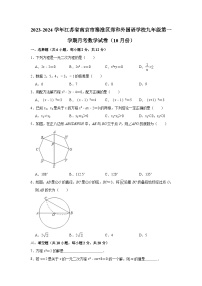 2023-2024学年江苏省南京市秦淮区郑和外国语学校九年级（上）月考数学试卷（10月份）（含解析）