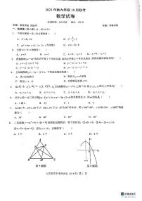 湖北省咸宁市学校联考2023—2024学年九年级上学期10月月考数学试题（月考）