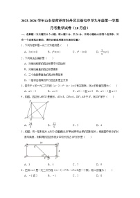 山东省菏泽市牡丹区王浩屯中学2023-2024学年九年级 上学期考数学试卷（10月份） （月考）