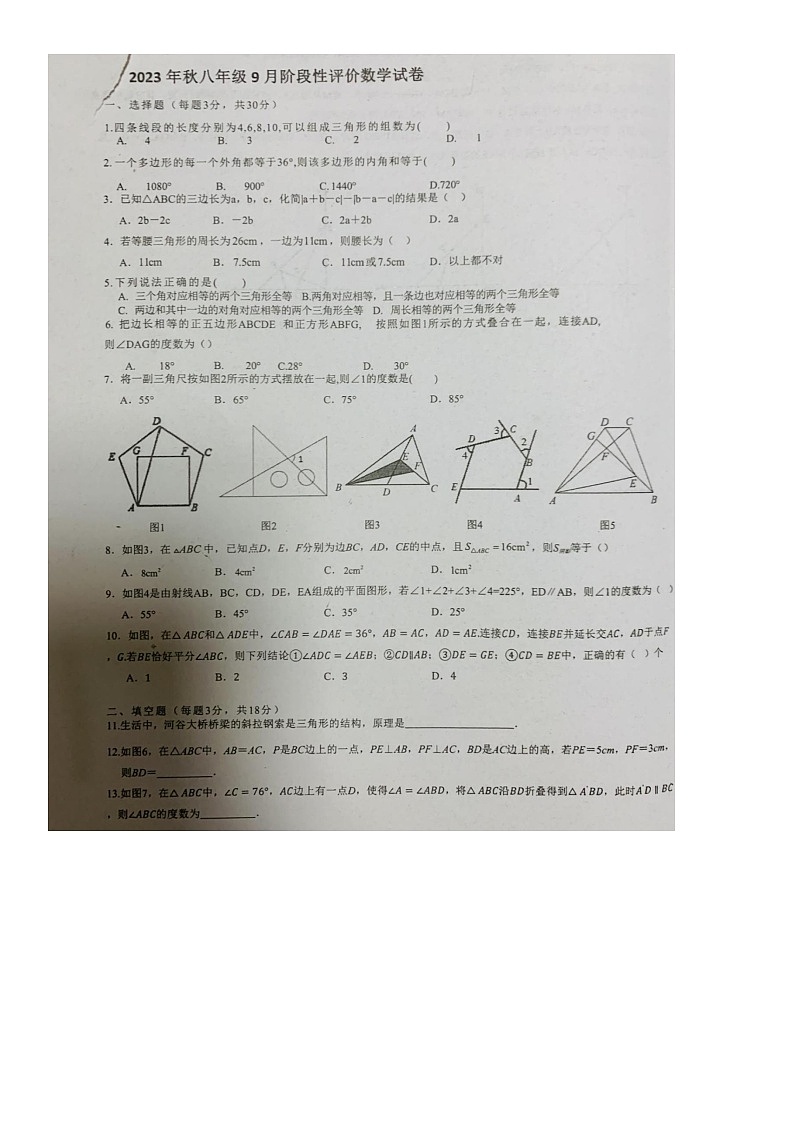 湖北省宜昌市宜都市西湖初级中学2023-2024学年八年级上学期10月月考数学试题（月考）第1页