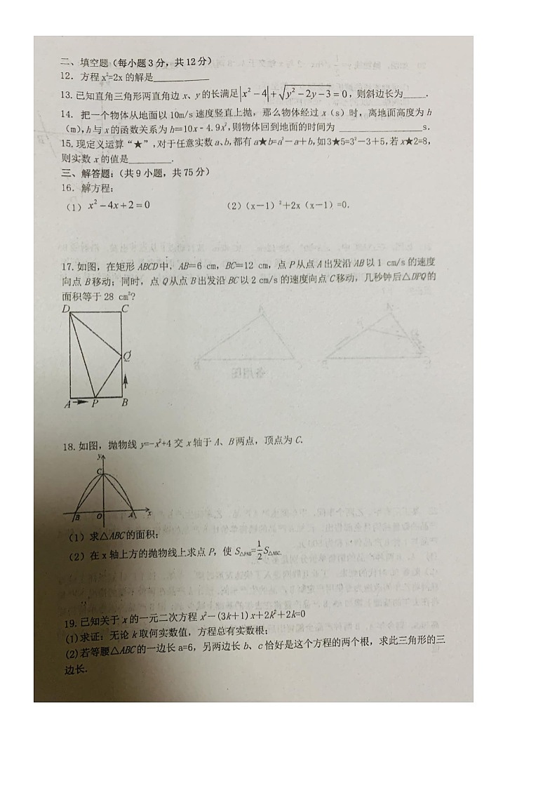 湖北省宜昌市宜都市西湖初级中学2023-2024学年九年级上学期10月月考数学试卷（月考）第2页