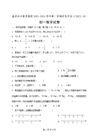 江苏省苏州市吴江区盛泽初中教育集团2023-2024学年七年级上学期有效评估1数学试卷（月考）Word版