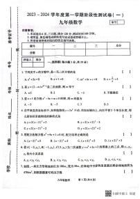 河南省漯河市召陵区青年镇初级中学2023-2024学年九年级上学期10月月考数学试题