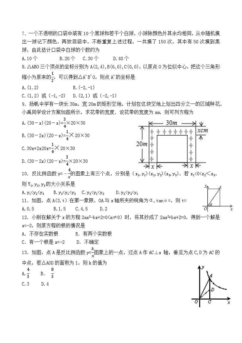 望都县2022-2023学年度第一学期期末教学质量检测九年级数学试卷附答案02