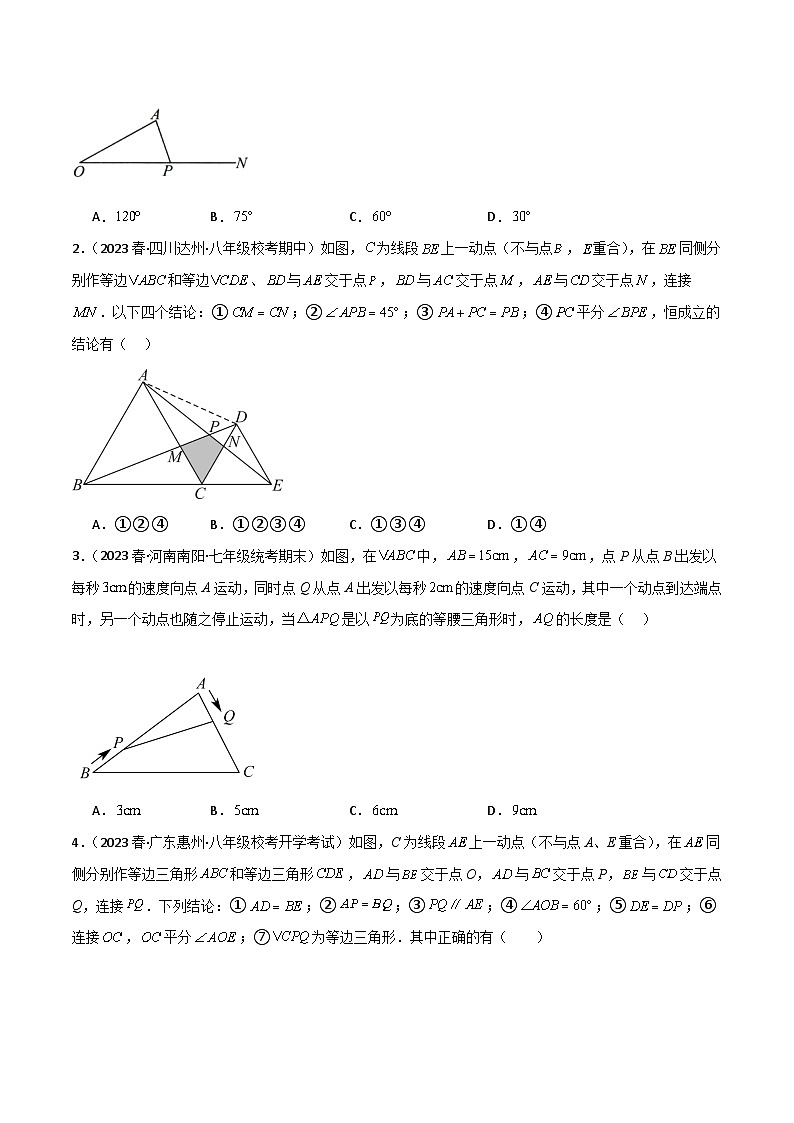 考点13 等腰三角形的动点问题的解决方法-【考点通关】2023-2024学年八年级数学上册考点归纳与解题策略（人教版）02