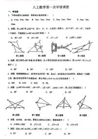 山东省临沂市兰山区临沂实验中学八年级上册2023——2024学年上学期10月月考数学试卷