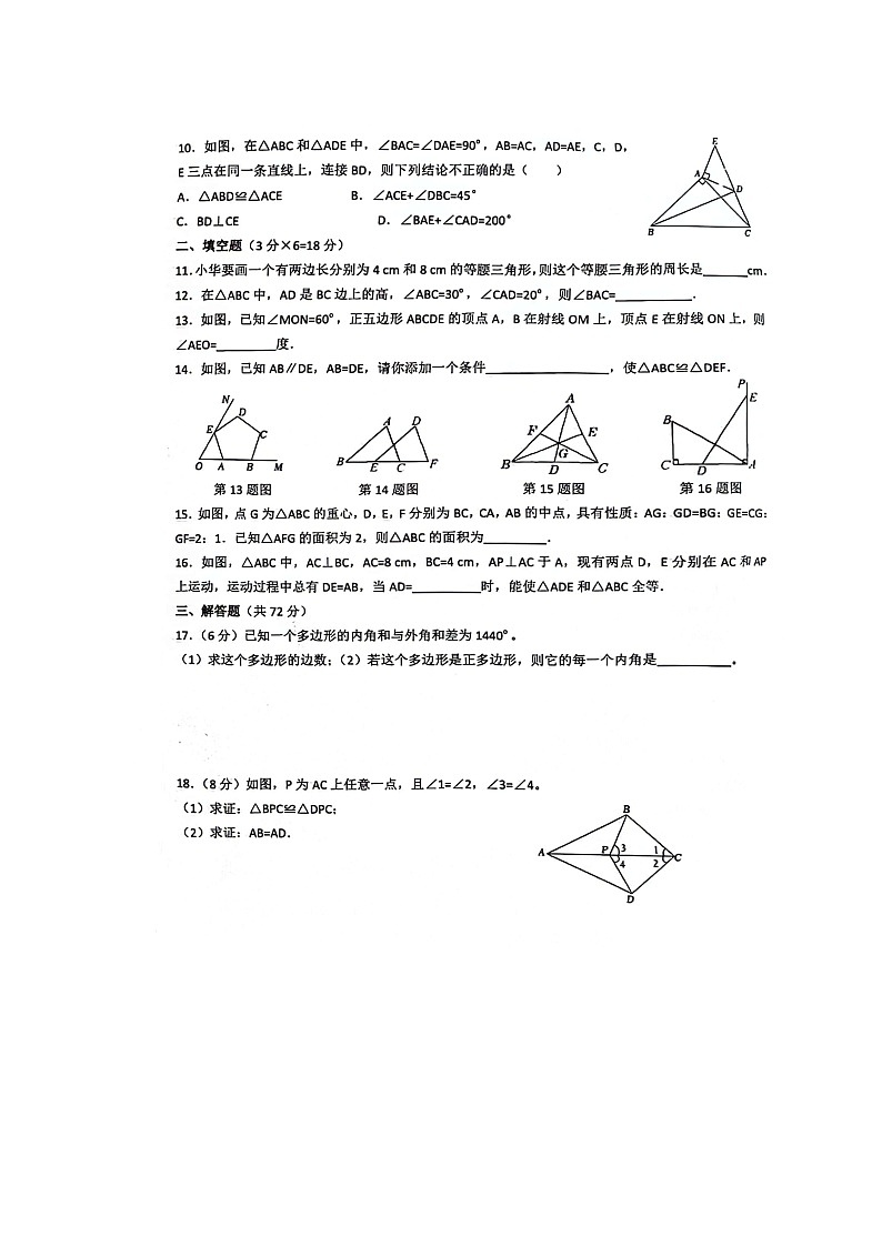 湖北省十堰市五校联考2023-2024学年八年级上学期10月月考数学试题02