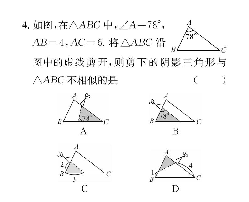 人教版九年级数学下册第27章滚动强化练习（2）课时训练课件PPT第5页