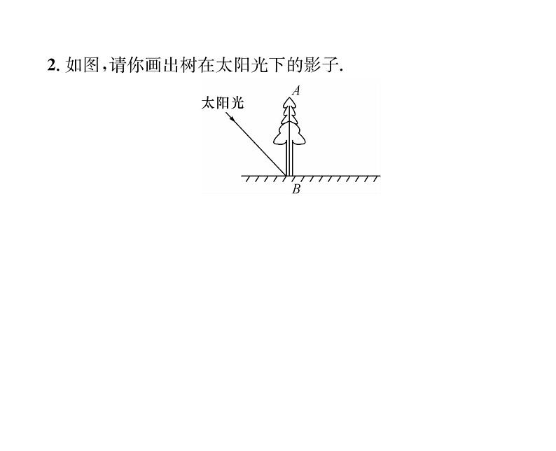 人教版九年级数学下册第29章第1课时  平行投影与中心投影课时训练课件PPT05