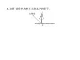 人教版九年级数学下册第29章第1课时  平行投影与中心投影课时训练课件PPT