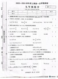 河南省驻马店市西平县2023-2024学年九年级上学期10月月考数学试题