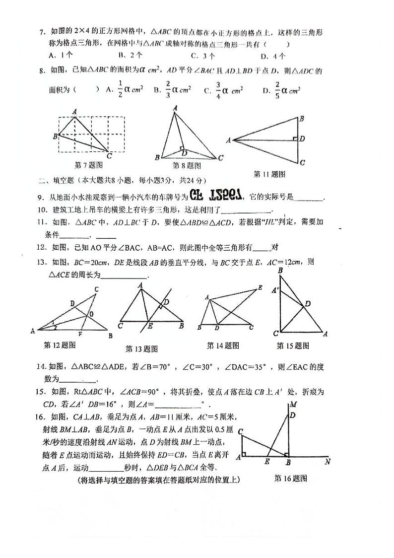 江苏省连云港市 灌云县实验中学2023-2024学年八年级上学期10月月考数学试题02