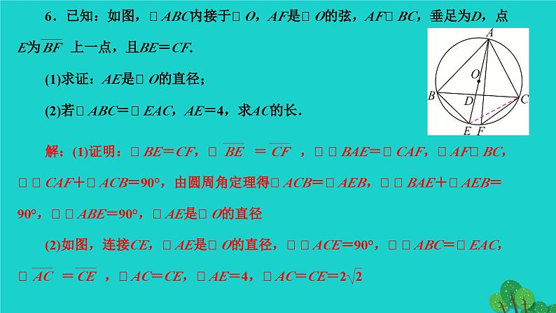 第24章 圆-章末复习 人教版数学九年级上册作业课件第7页