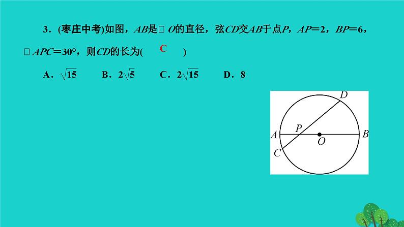 第24章 圆-专题训练：与圆的基本性质有关的辅助线作法 人教版数学九年级上册作业课件第4页