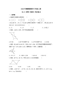 数学八年级上册第2章 三角形2.5 全等三角形优秀同步训练题