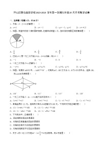 广东省深圳市坪山区新合实验学校2023-2024学年上学期九年级10月月考数学试卷