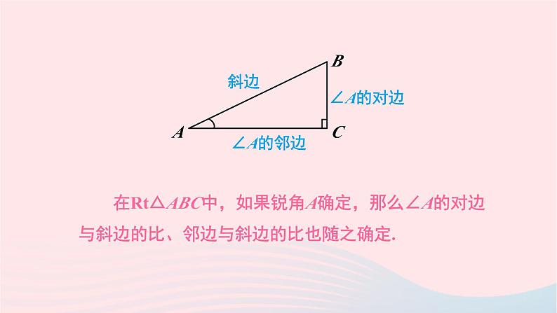 第一章直角三角形的边角关系1锐角三角函数第2课时正弦余弦课件（北师大版九下）07