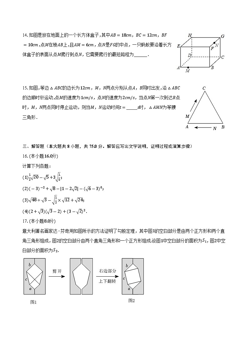 河南省郑州市二七区郑州市第五十七中学2023-2024学年八年级上学期月考数学试卷（10月份）03