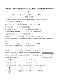 山东省临沂市兰山区2023-2024学年九年级上学期月考数学试卷（10月份）