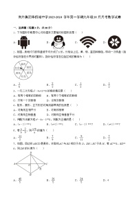 广东省深圳市南山区南外集团华侨城中学2023-2024学年九年级上学期10月月考数学试卷