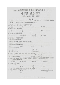 广西壮族自治区来宾市忻城县民族中学2023-2024学年 上学期七年级数学 阶段性自主评估训练（一） （月考）