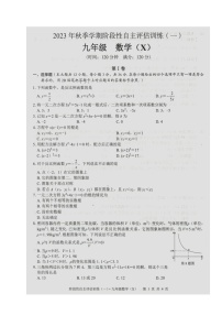 广西壮族自治区来宾市忻城县民族中学2023-2024学年 九年级上学期阶段性自主评估数学 训练（一）  （月考）