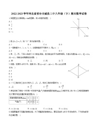 2022-2023学年河北省邢台市威县三中八年级（下）期末数学试卷（含答案解析）