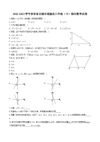 2022-2023学年吉林省白城市通榆县八年级（下）期末数学试卷（含答案解析）