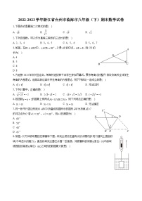 2022-2023学年浙江省台州市临海市八年级（下）期末数学试卷（含答案解析）