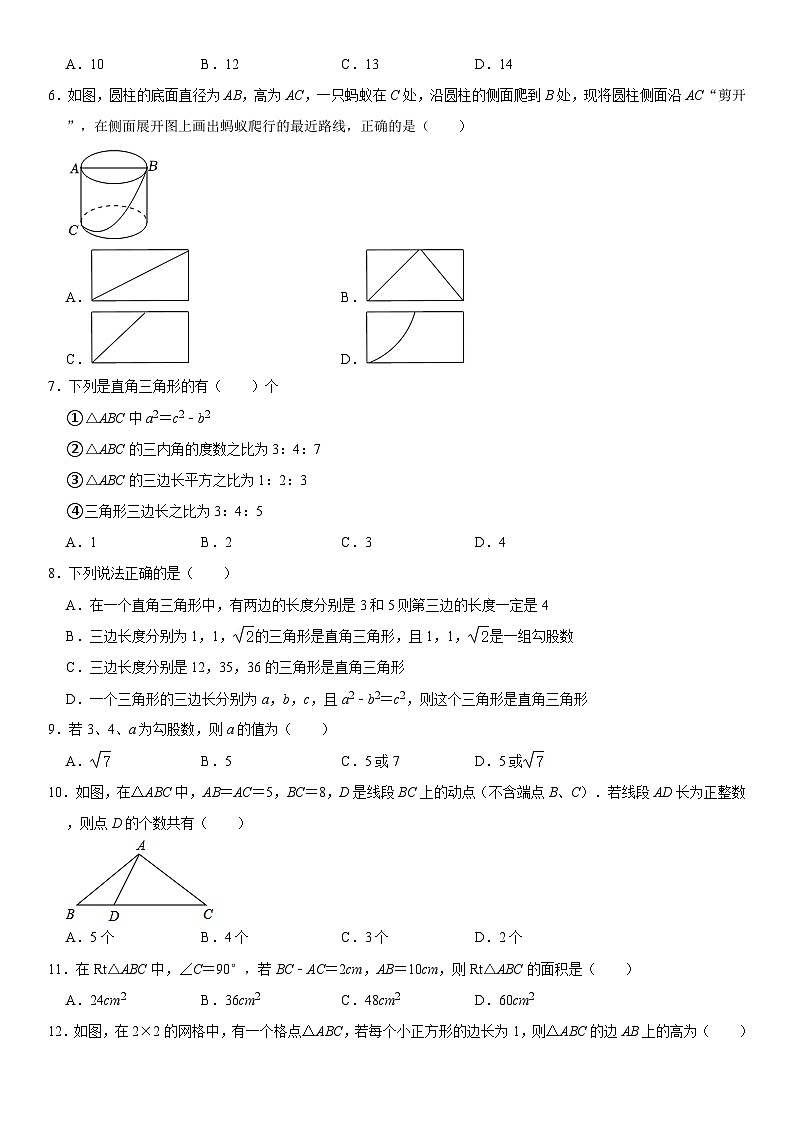 北师大版数学八年级上册期中精品模拟试卷（含详细解析）02