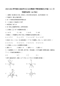 2023-2024学年浙江省金华市义乌市绣湖中学教育集团九年级（上）月考数学试卷（10月份）（含解析）