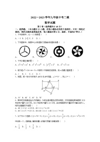 山东省德州市平原县2023届九年级下学期中考二模数学试卷