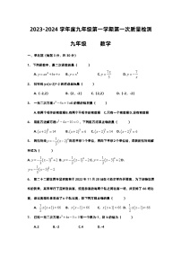 广东省惠州市惠阳区华南师范大学附属学校2023-2024学年九年级上学期第一次月考数学试题