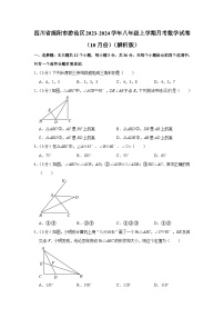 四川省绵阳市游仙区2023-2024学年八年级上学期月考数学试卷（10月份）