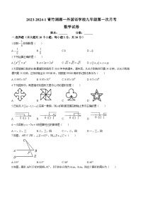 湖南省长沙市青竹湖湘一外国语学校2023-2024学年九年级上学期第一次月考数学试题