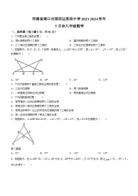 河南省周口市淮阳中学2023-2024学年八年级上学期10月月考数学试题