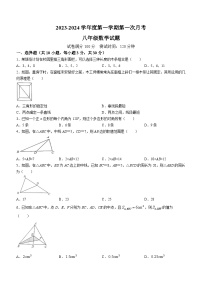 山东省济宁市嘉祥县2023-2024学年八年级上学期10月月考数学试题