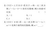 人教版九年级数学上册第21章21.2.2  公式法课时训练课件PPT