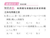 人教版九年级数学上册第21章21.2.4  一元二次方程的根与系数的关系课时训练课件PPT