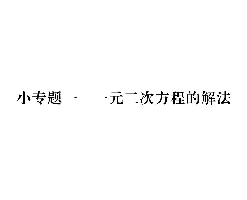 人教版九年级数学上册第21章小专题1  一元二次方程的解法课时训练课件PPT01