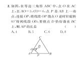 人教版九年级数学上册第二十三章小专题10  运用旋转知识解决几何问题课时训练课件PPT