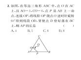 人教版九年级数学上册第二十三章小专题10  运用旋转知识解决几何问题课时训练课件PPT