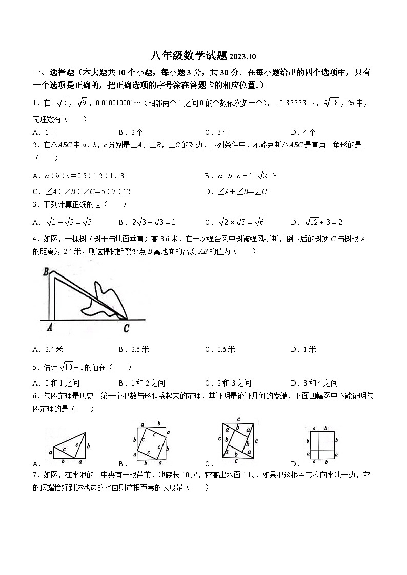山东省菏泽经济技术开发区多校联考2023-2024学年八年级上学期10月月考数学试题第1页