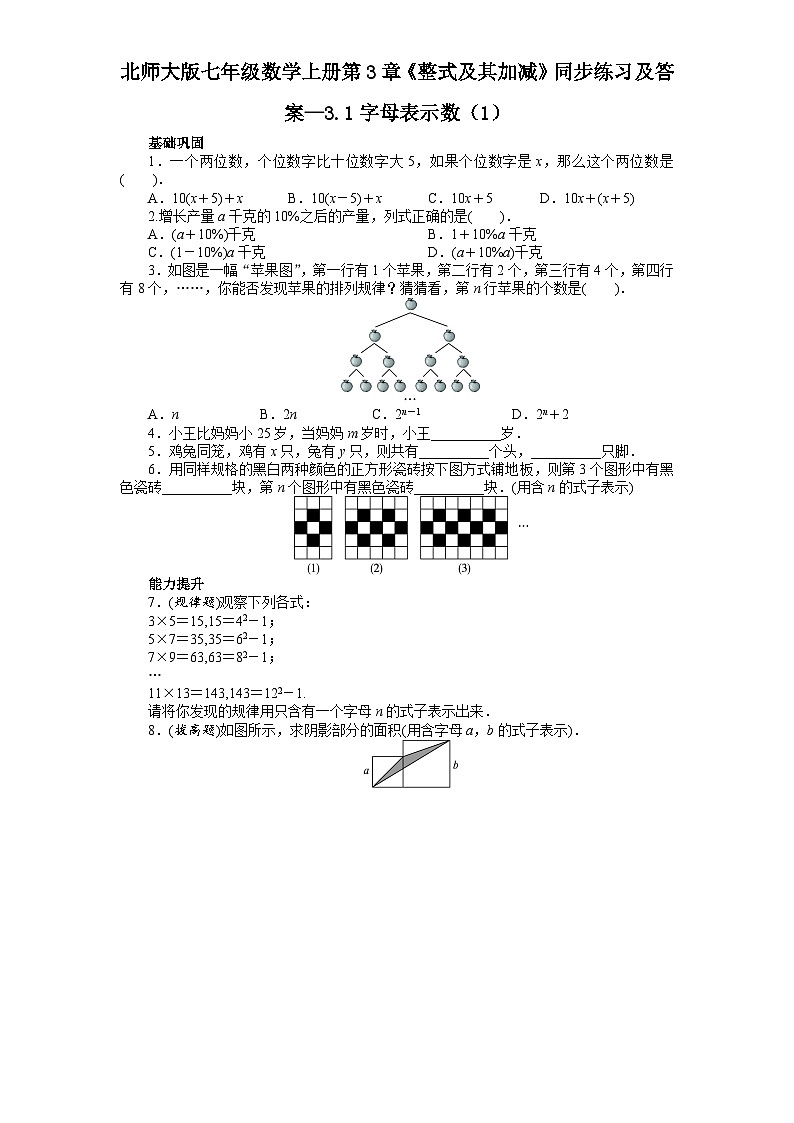 3.1 字母表示数1 北师大版七年级数学上册同步练习及答案第1页