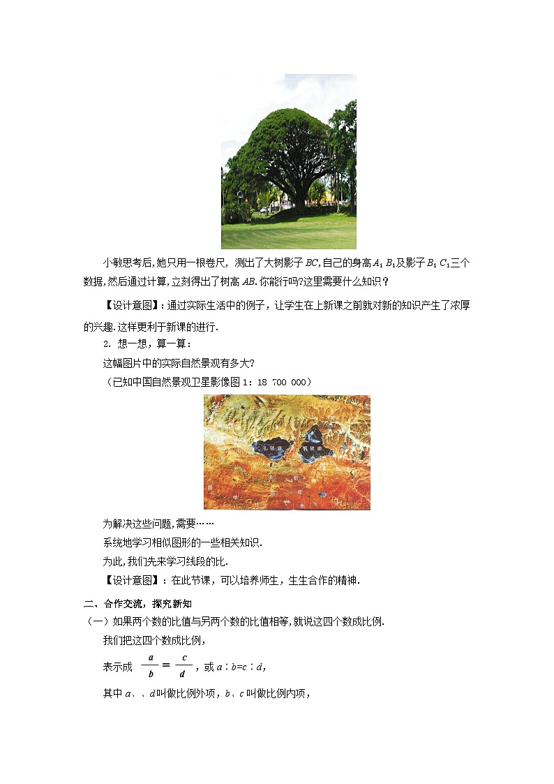 4.1 成比例线段 北师大版九年级数学上册教案02