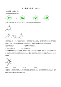 江苏省扬州市扬州中学教育集团树人学校2023-2024学年八年级上学期10月月考数学试题(无答案)