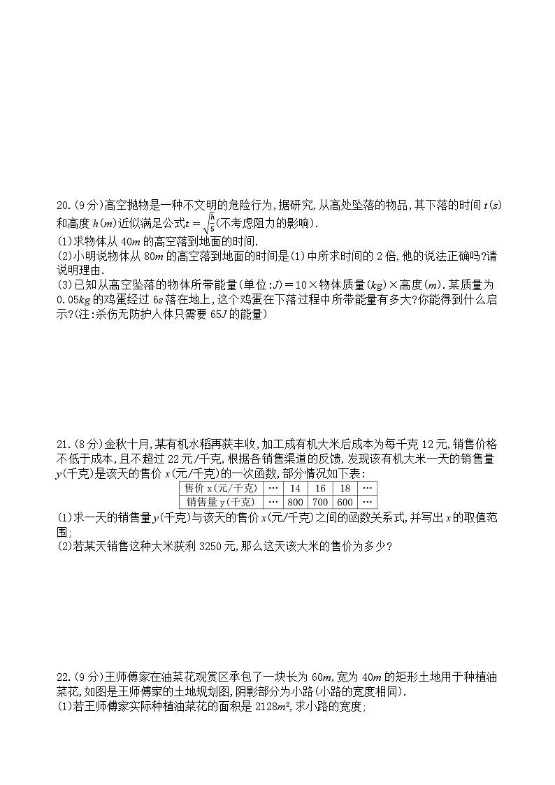 河南省新乡市辉县市城北中学2023-2024学年上学期九年级10月月考-数学试卷第3页