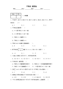 中考数学二轮复习模块二方程与不等式不等式题型练含解析答案