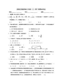 2023龙岗实验八上数学第7周末数学试卷